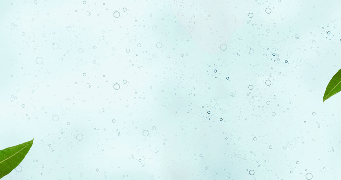 preview_biore